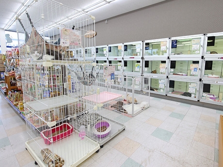 Bs job img 3 20260414141616459