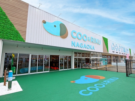 Bs job img 2 20260414141616493