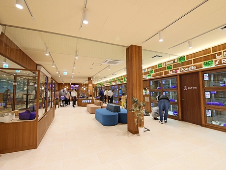 Bs job img 3 20260414141616493