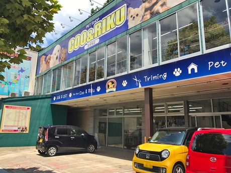 Bs job img 2 20260414141616528