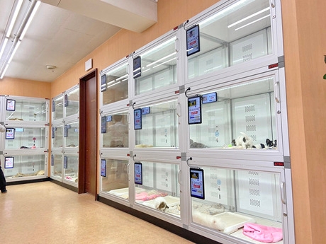 Bs job img 3 20260414141616528