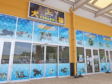 Bs job img 2 20260414141616680