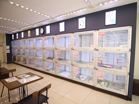 Bs job img 2 20260414141616736