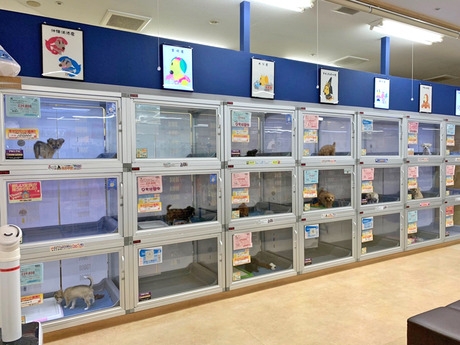 Bs job img 2 20260414141616765