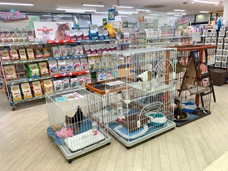 Bs job img 3 20260414141616765