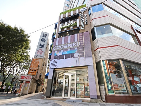 Bs job img 2 20260414141616821