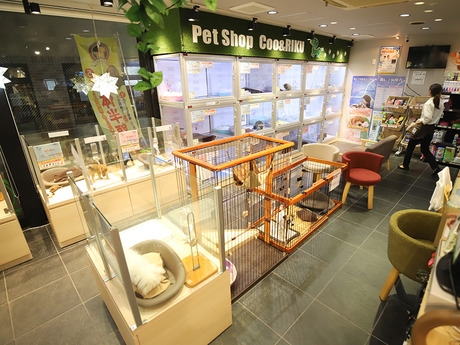 Bs job img 3 20260414141617208