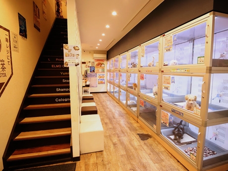 Bs job img 3 20260414141617284