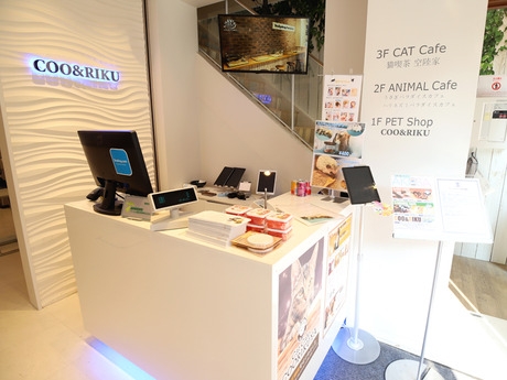 Bs job img 3 20260401062500930