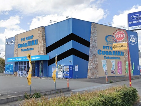 Bs job img 2 20260414141622460