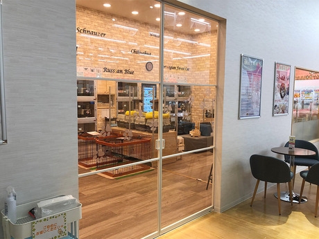 Bs job img 3 20260414141622460