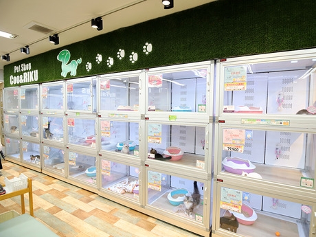 Bs job img 3 20260414141622589