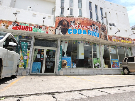 Bs job img 2 20260414141622632