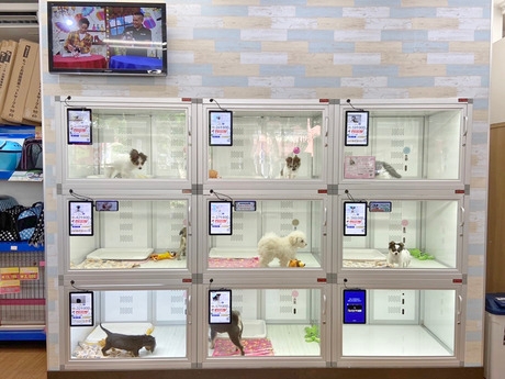 Bs job img 3 20260414141622632