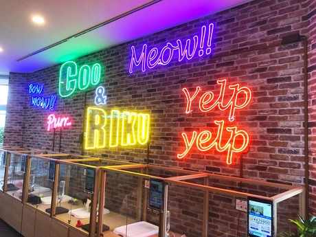 Bs job img 3 20260414141622747