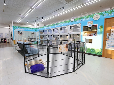 Bs job img 2 20260414141622764