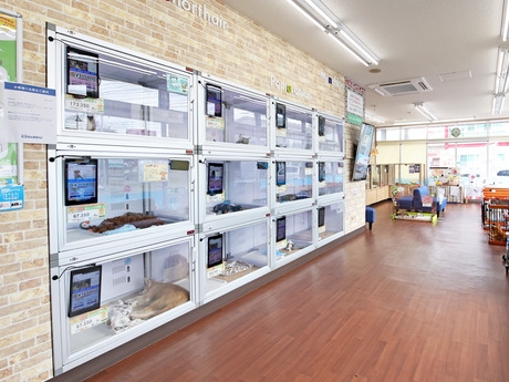 Bs job img 3 20260414141622833