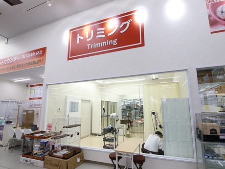 Bs job img 3 20260414141622906