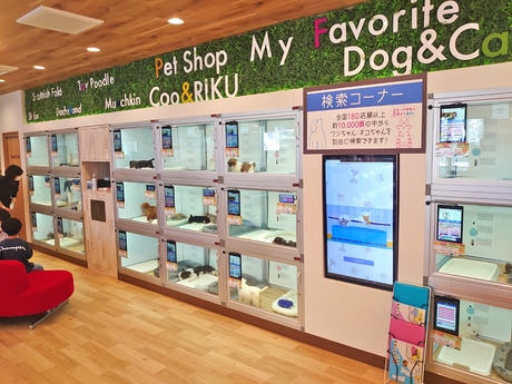 Bs job img 3 20260414141623230