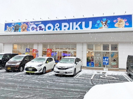 Bs job img 2 20260414141623247