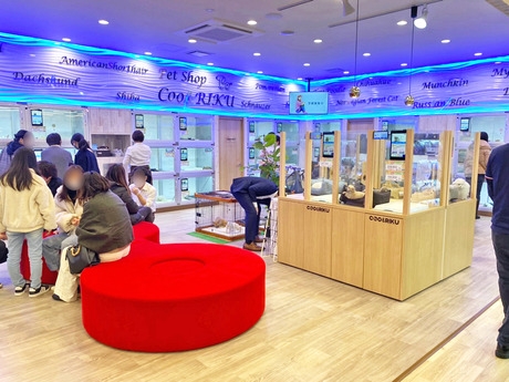 Bs job img 3 20260414141623247