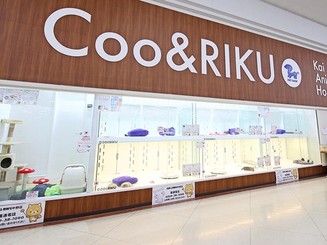 Bs job img 2 20260414141623289