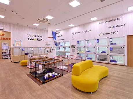 Bs job img 3 20260414141623472