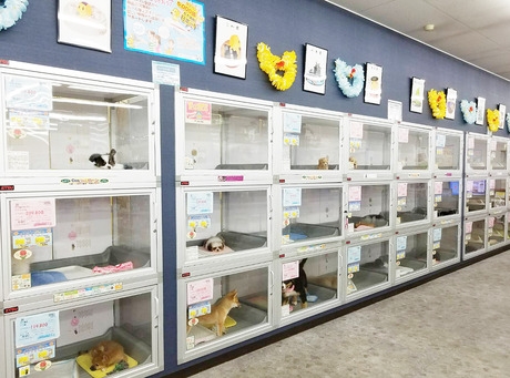 Bs job img 3 20260414141623513