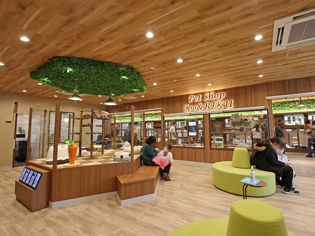 Bs job img 3 20260414141623618