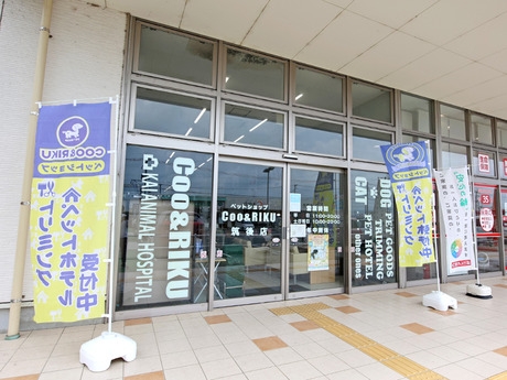 Bs job img 2 20260401062503209