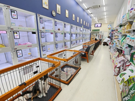 Bs job img 3 20260401062503209