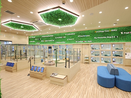 Bs job img 3 20260401062503353