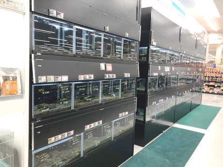 Bs job img 3 20260401062503385