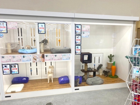 Bs job img 3 20260414141624441