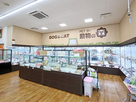 Bs job img 2 20260401062504556