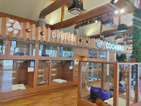 Bs job img 3 20260401062504696