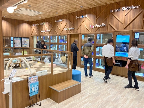 Bs job img 2 20260414141632297