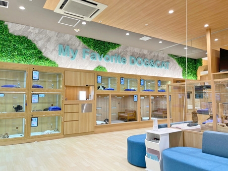 Bs job img 3 20260414141632632