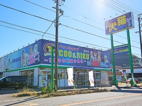 Bs job img 2 20260414141632906