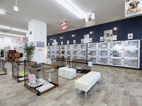 Bs job img 2 2026041414163353