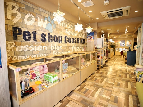 Bs job img 3 2026041414163390