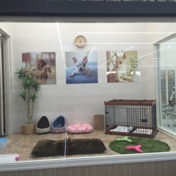 Bs job img 2 20260414141633517