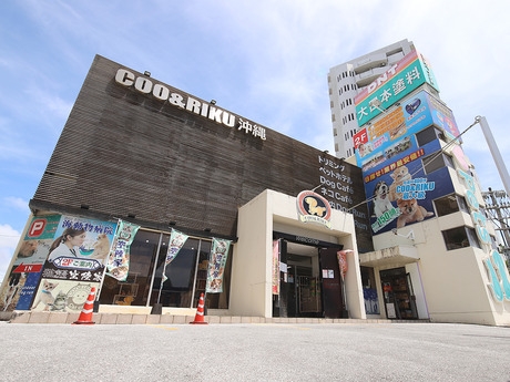 Bs job img 2 20260414141633667