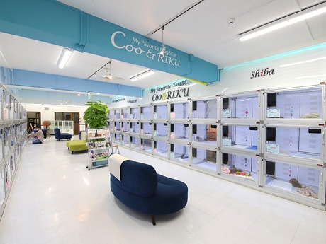 Bs job img 3 20260414141633667