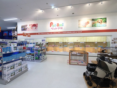 Bs job img 2 2026041414163411