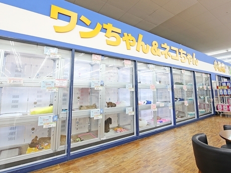 Bs job img 2 2026041414163450