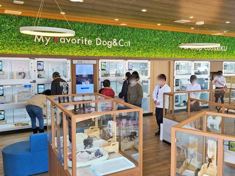 Bs job img 3 20260414141634121