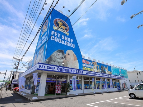 Bs job img 2 20260414141634330