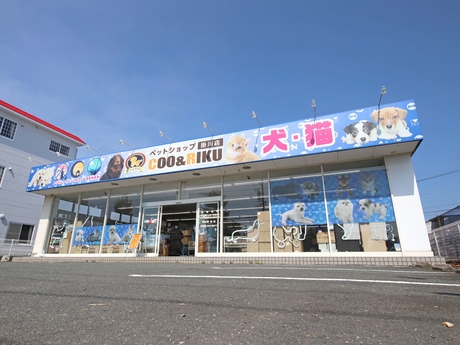 Bs job img 2 20260414141634368