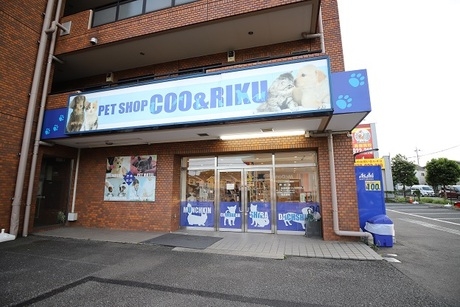 Bs job img 2 20260414141634698